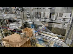 Alphapack HS System Packs Overwrapped Multipacks of Egg Products