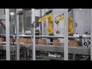 Discover Combi's Robotic Case Packing System Tubes of Adhesive