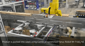 ErgoPakPal Robotic Case Packer Palletizing Robots