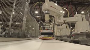 Fully Integrated Sausage Packing Line