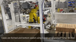 Robotic Case Packer Palletizing Robots