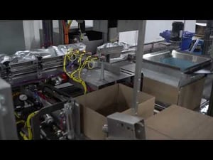 The Combi Alphapack® 8 HD in Action Case Packing Pillow Bags of Coffee Beans with Precision
